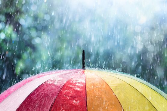 Regenwassernutzung